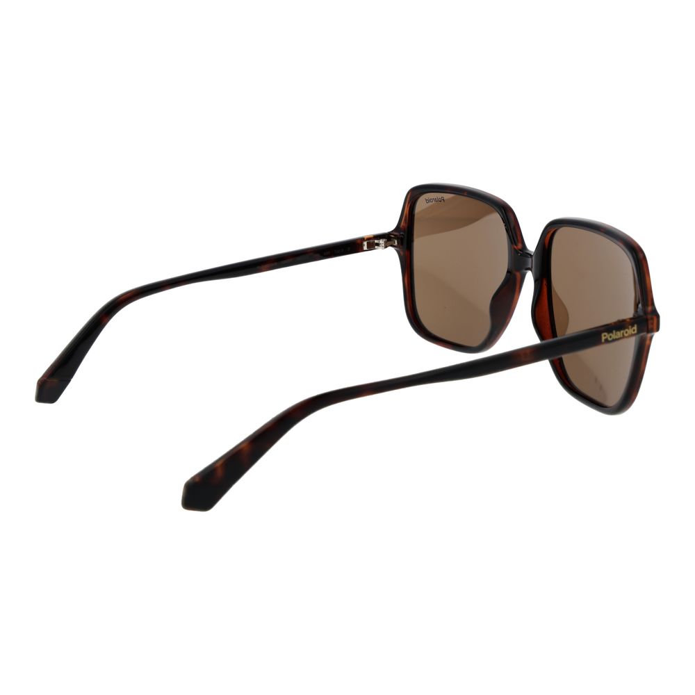 Brown Plastic Sunglasses - ventzia