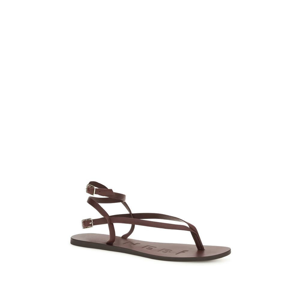 Brown Calf Leather Bos Taurus Flat Sandals - ventzia