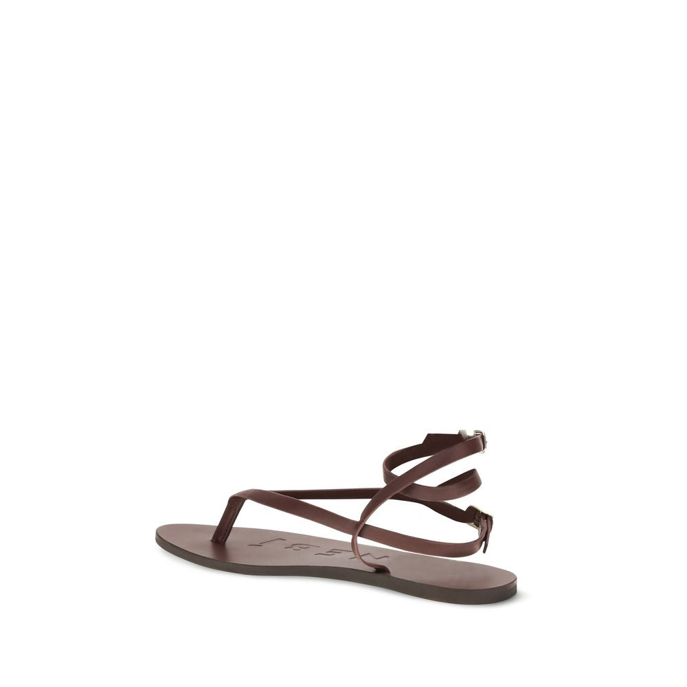 Brown Calf Leather Bos Taurus Flat Sandals - ventzia