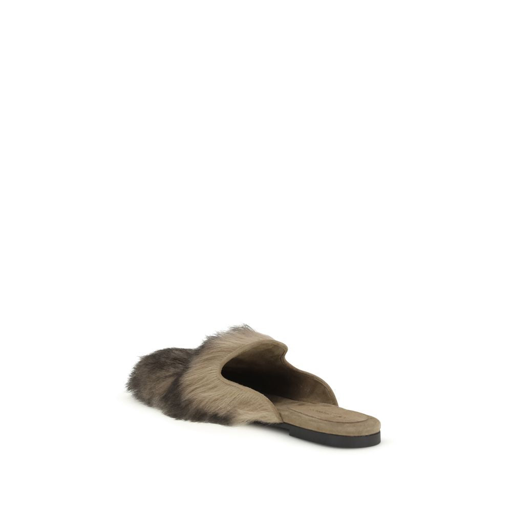 Gray Lamb Ovis Aries Aries Mules - ventzia
