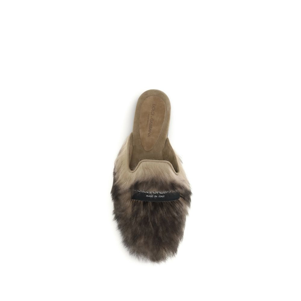 Gray Lamb Ovis Aries Aries Mules - ventzia