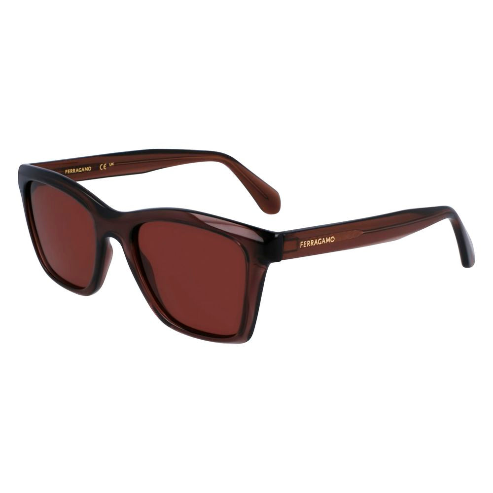 Brown Injected Sunglasses - ventzia