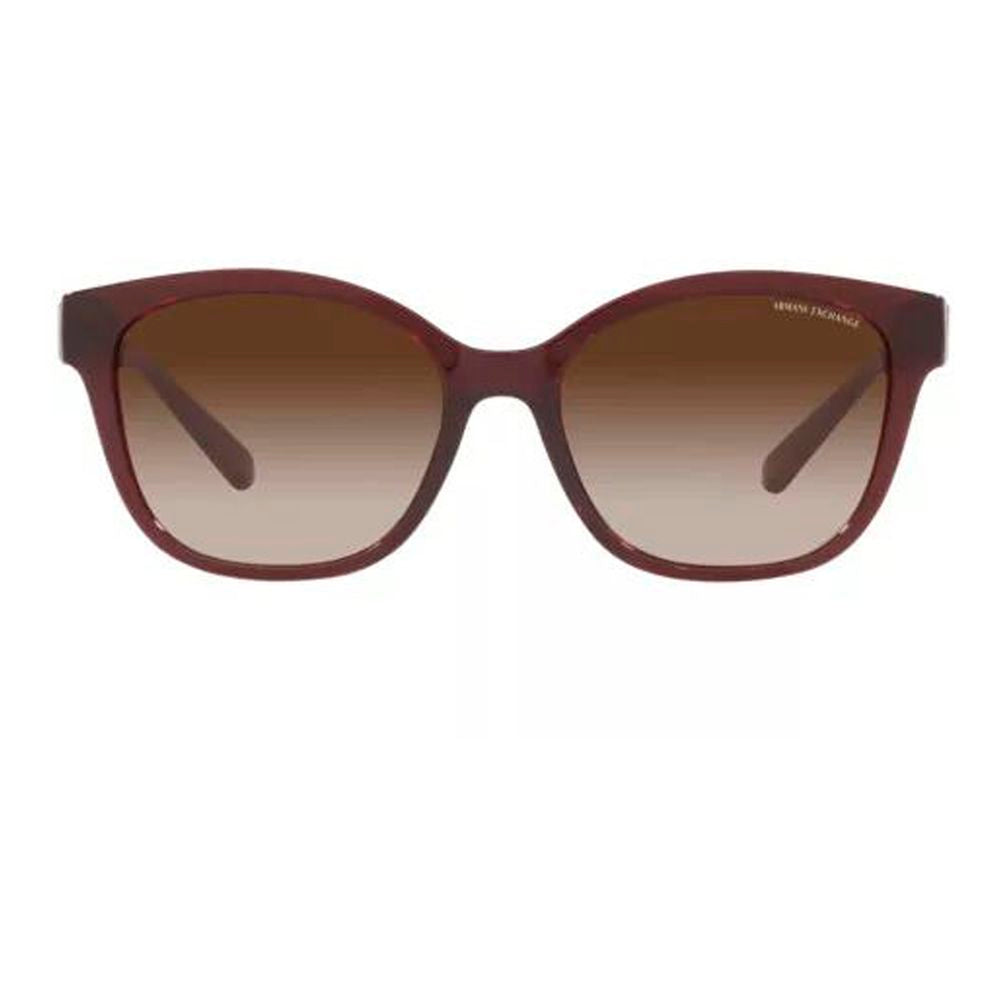 Multicolor Injected Sunglasses
