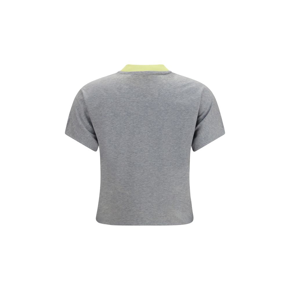 Gray Cotton T-Shirt