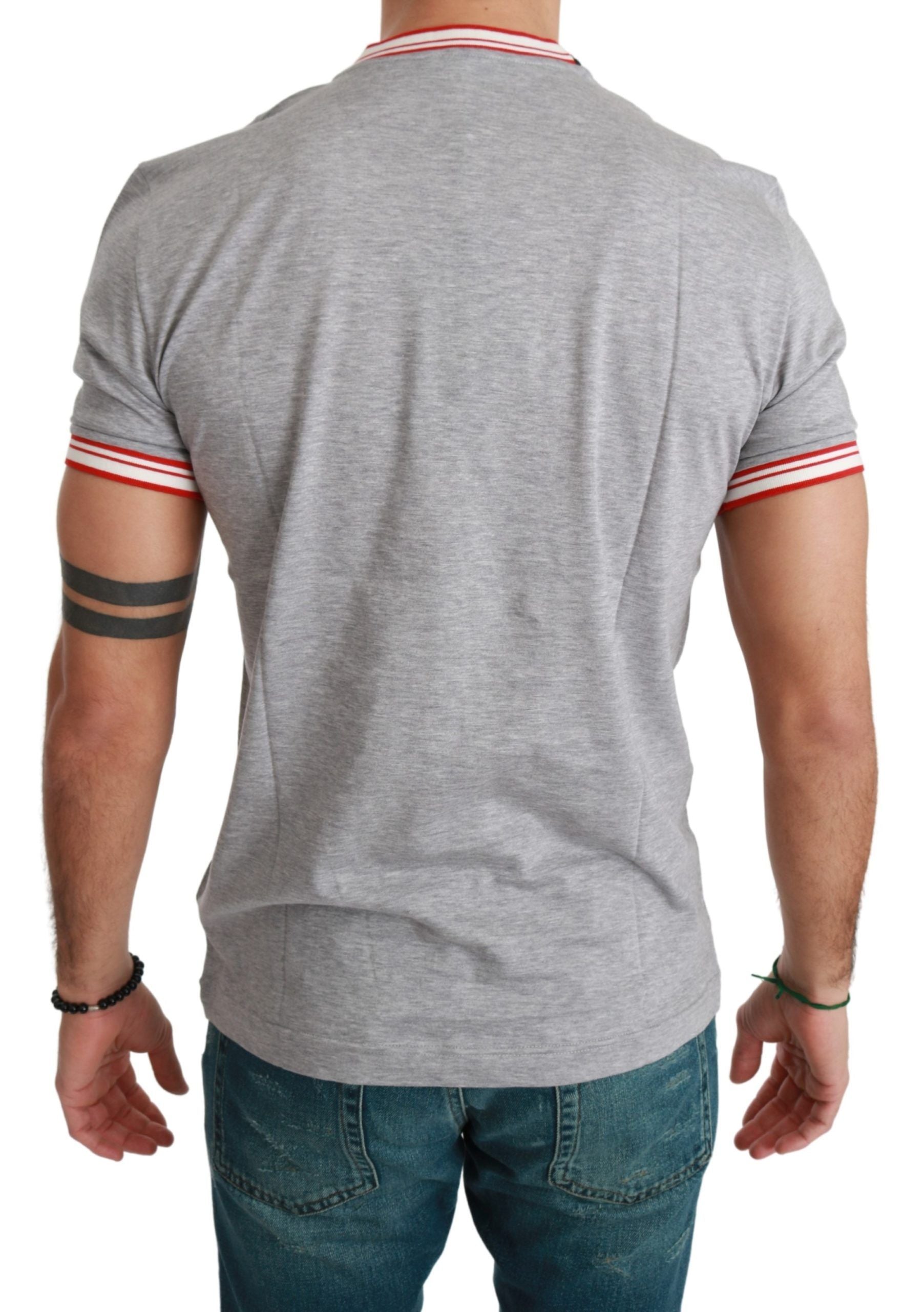 Chic Gray Cotton T-Shirt with Year of the Pig Motive - ventzia