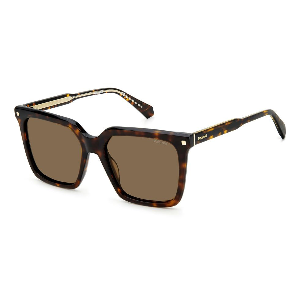 Brown Acetate Sunglasses - ventzia