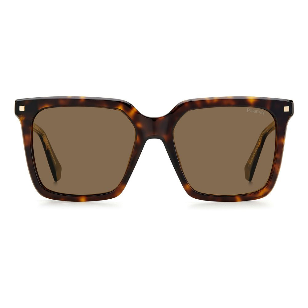 Brown Acetate Sunglasses - ventzia