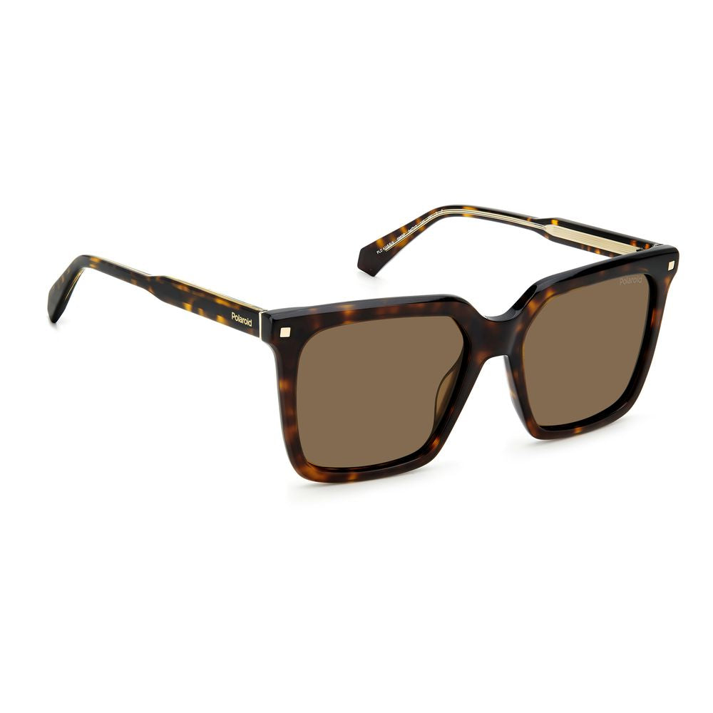 Brown Acetate Sunglasses - ventzia