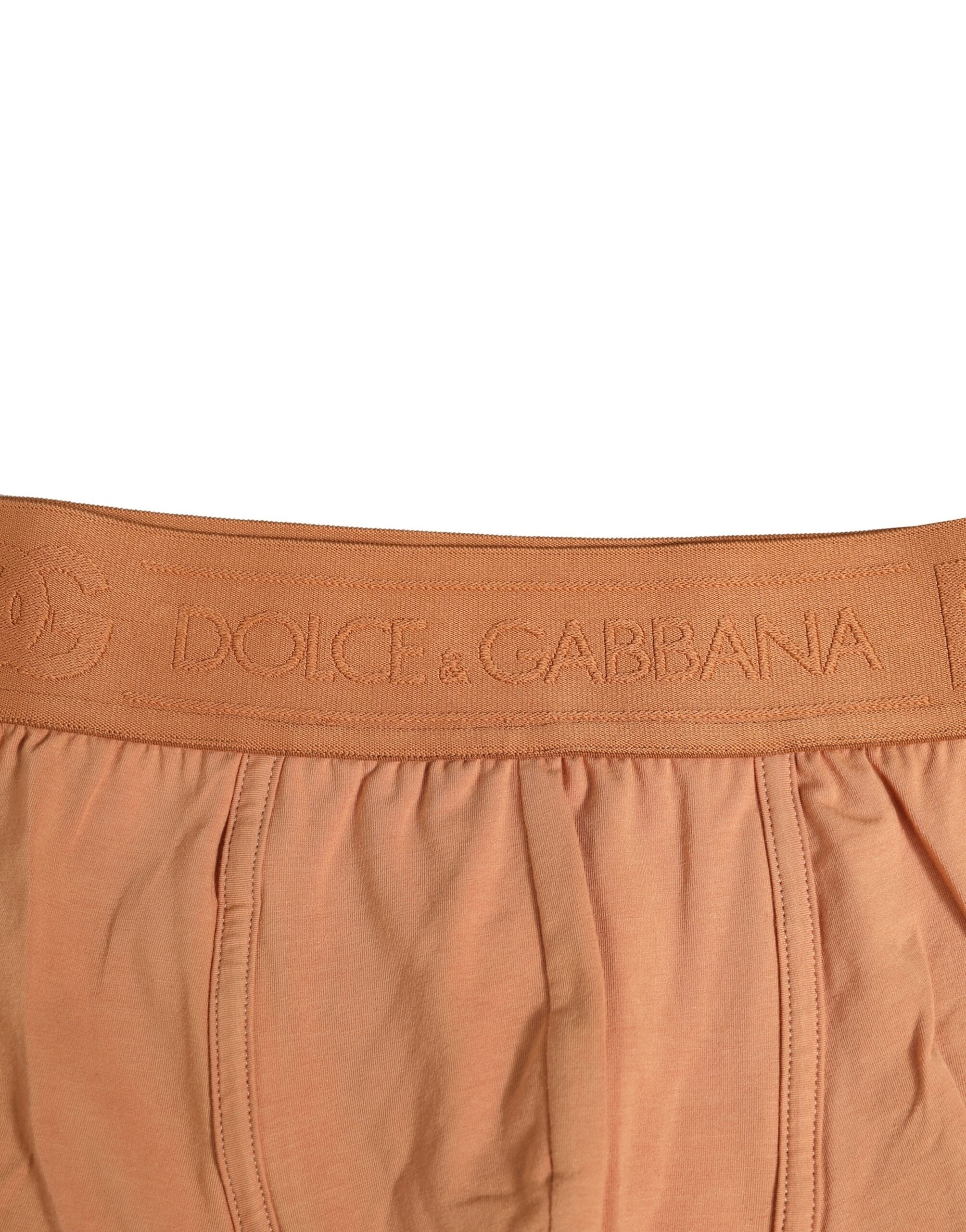 Brown Cotton Stretch Regular Boxer Underwear - ventzia