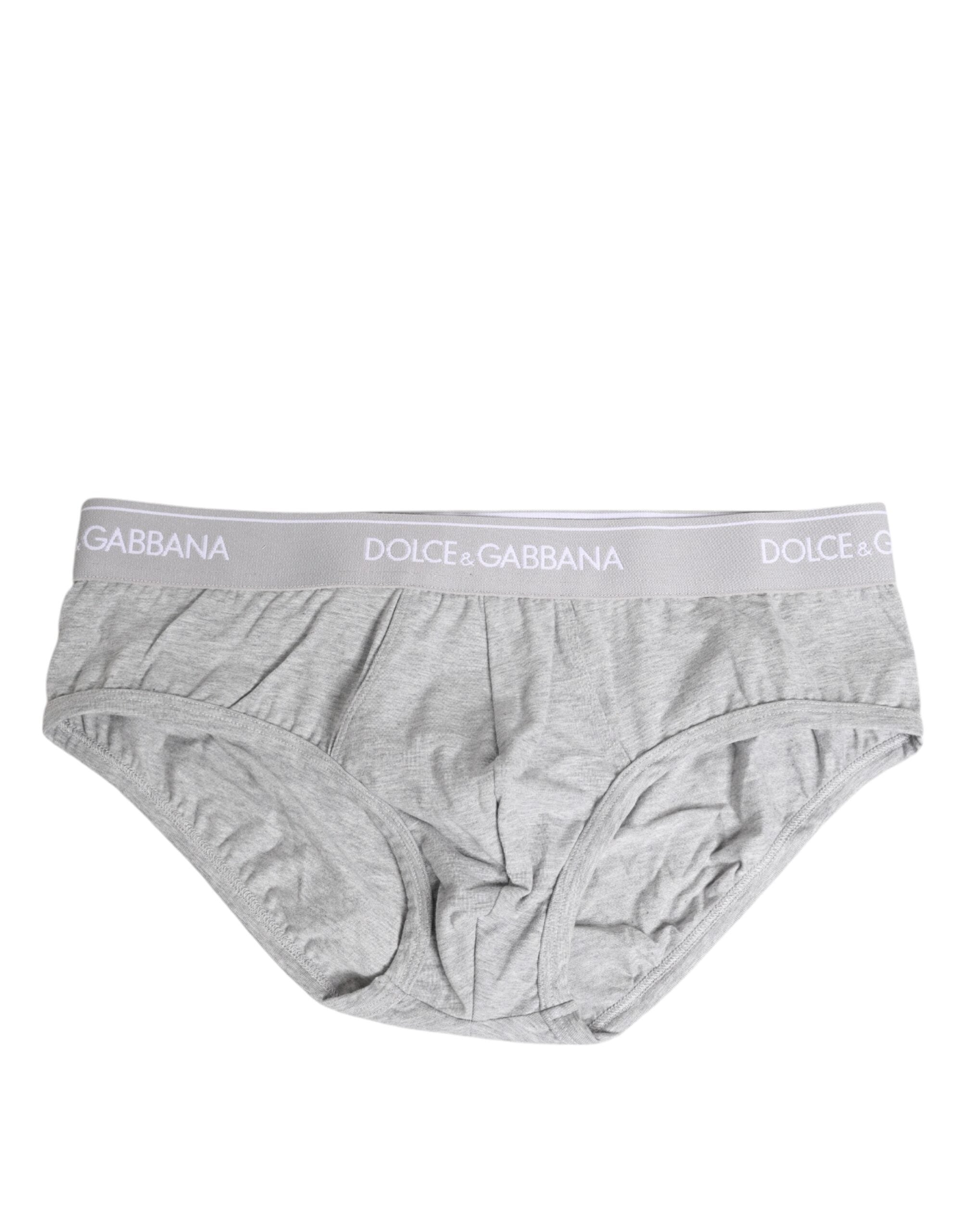 Gray Cotton Stretch Regular Brief Underwear - ventzia