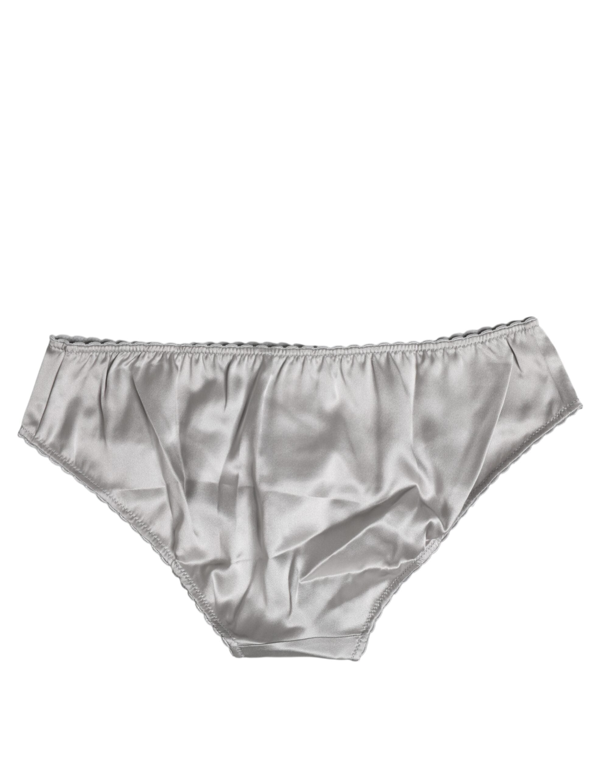 Gray Silk Stretch Bottom Low Waist Panty Underwear - ventzia