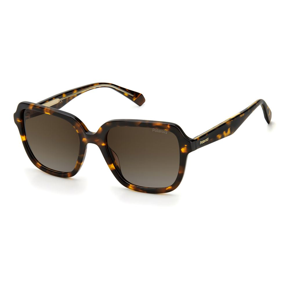 Brown Acetate Sunglasses - ventzia