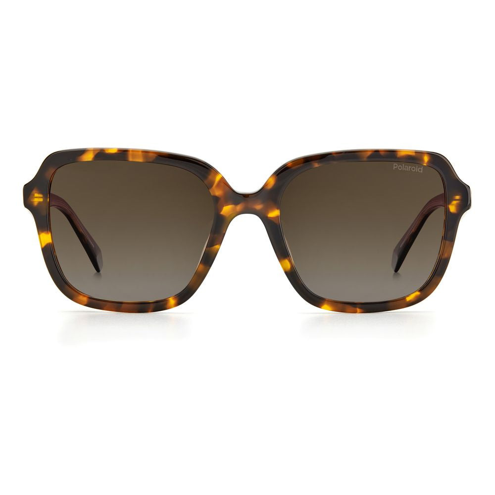 Brown Acetate Sunglasses - ventzia