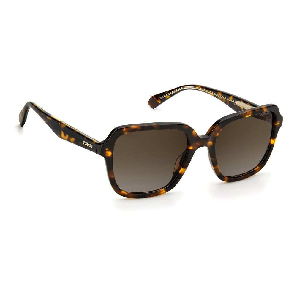 Brown Acetate Sunglasses - ventzia