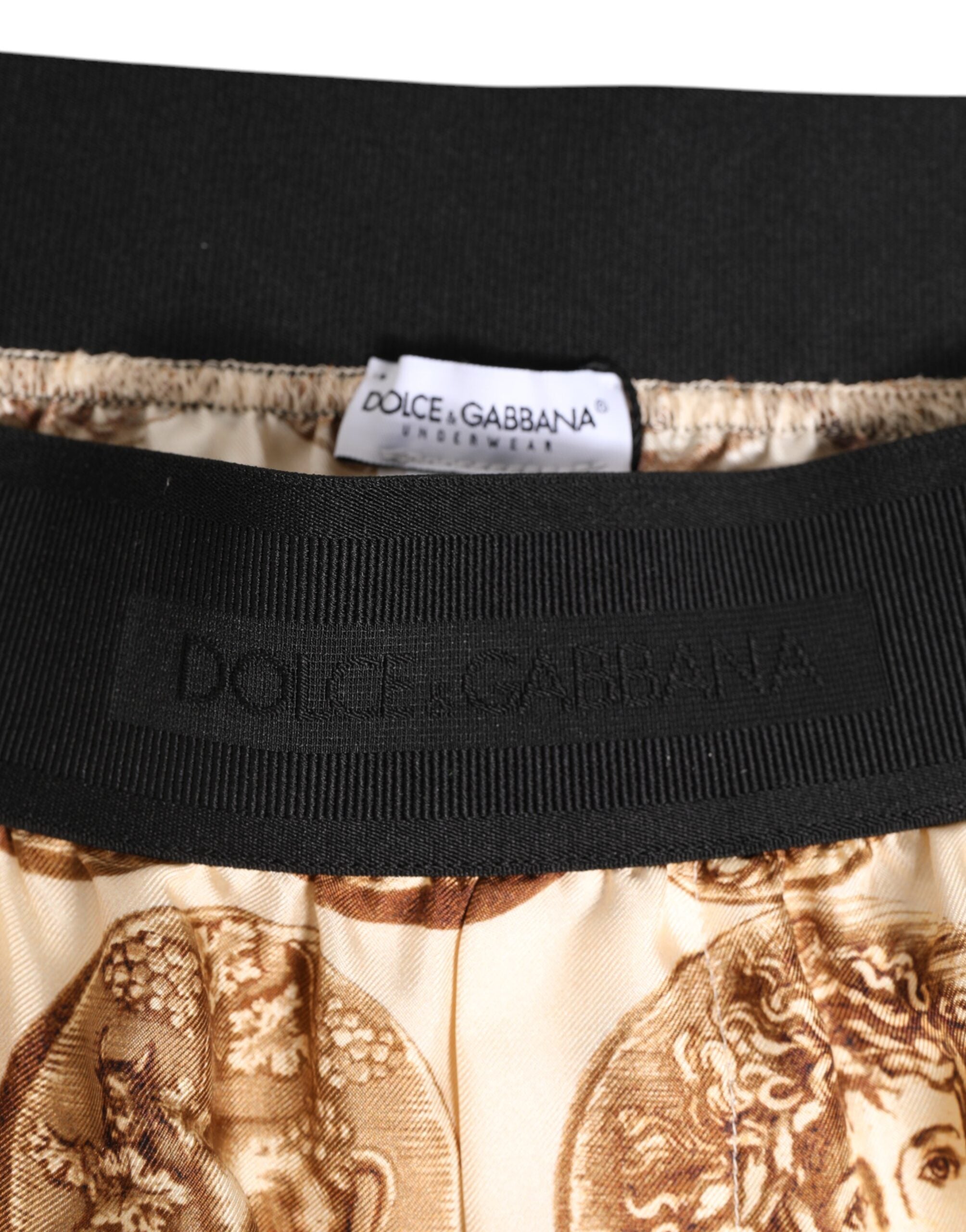 Brown Ancient Coin Print Silk Shorts Swimwear - ventzia