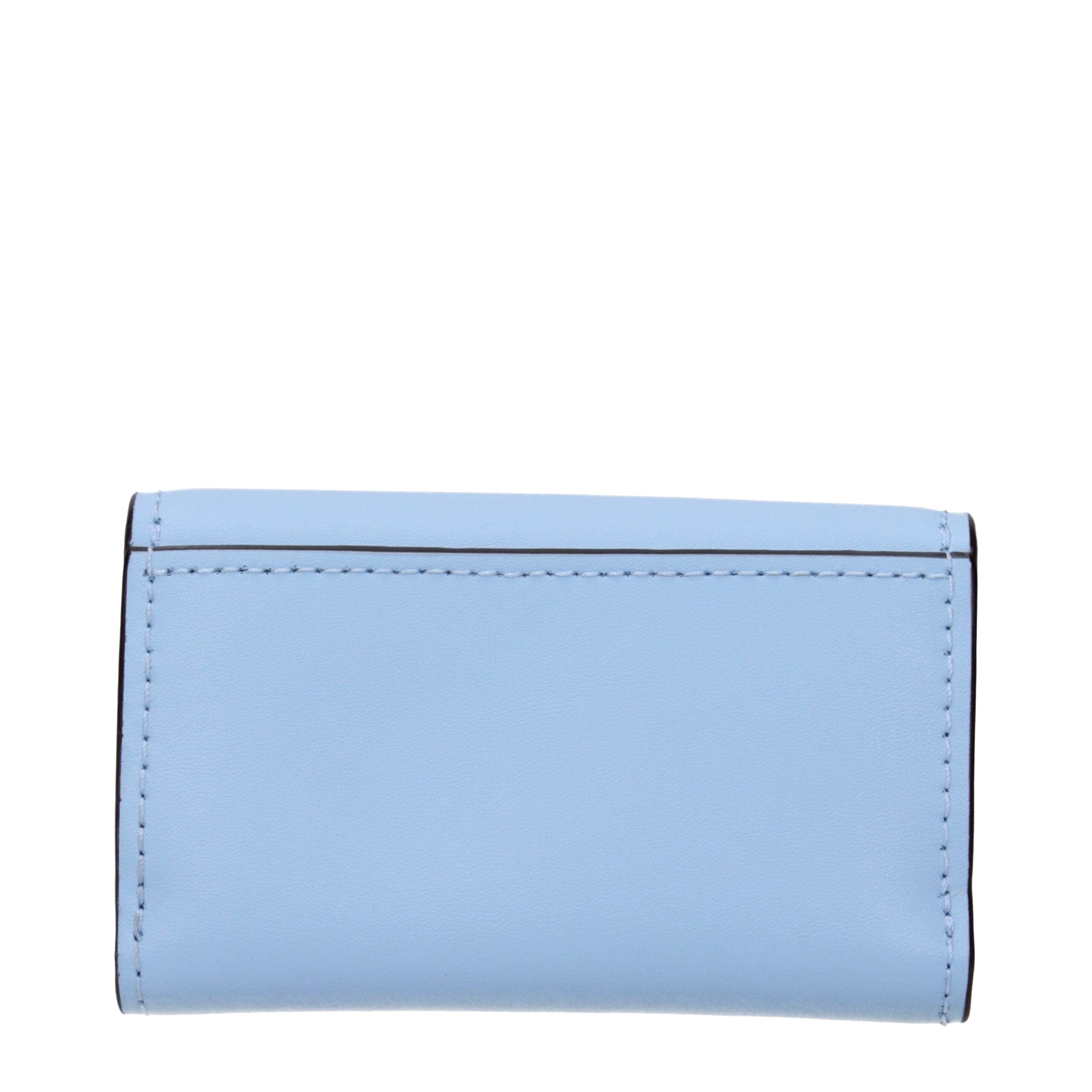 Light Blue Leather Wallet