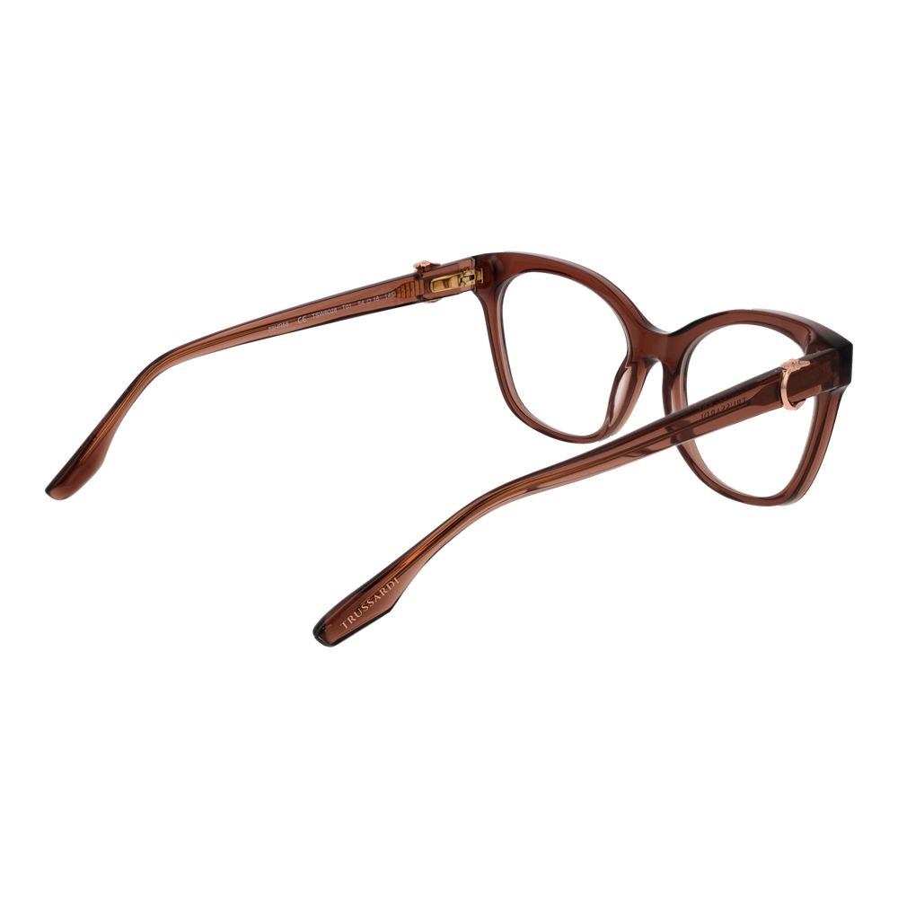 Brown Acetate Glasses (Frames)