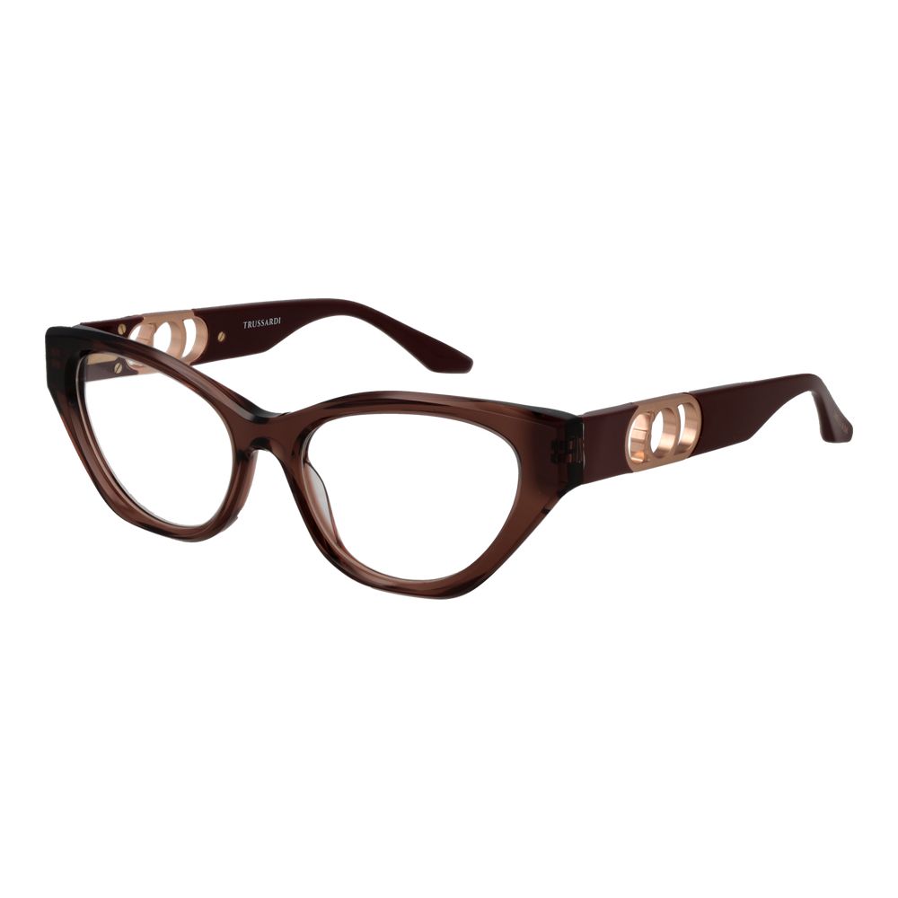 Brown Acetate Glasses (Frames) - ventzia