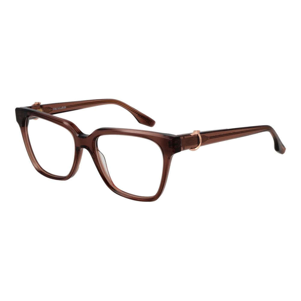 Brown Acetate Glasses (Frames) - ventzia